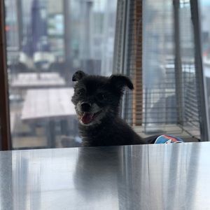 Meet your Posher, Susanne